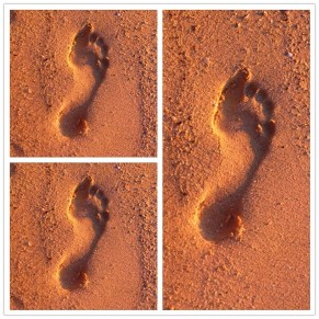 PhotoGrid_1348729061139