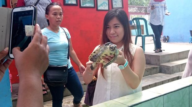 Teman-teman Blibur berfoto bersama anak penyu di Pusat Konservasi penyu Batu Hiu