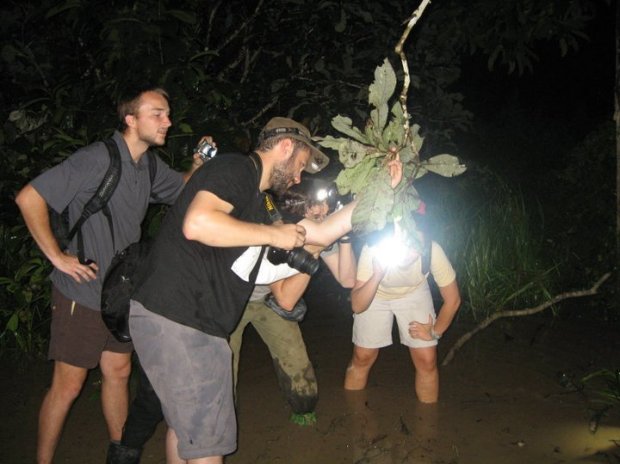 157052_484075499557_4205853_n