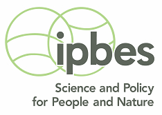 logo_ipbes_0